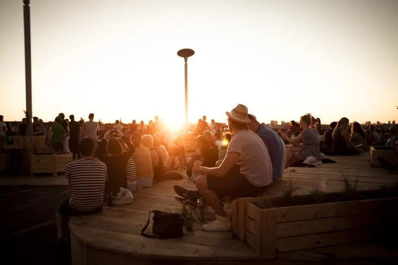 Klunkerkranich at sunset