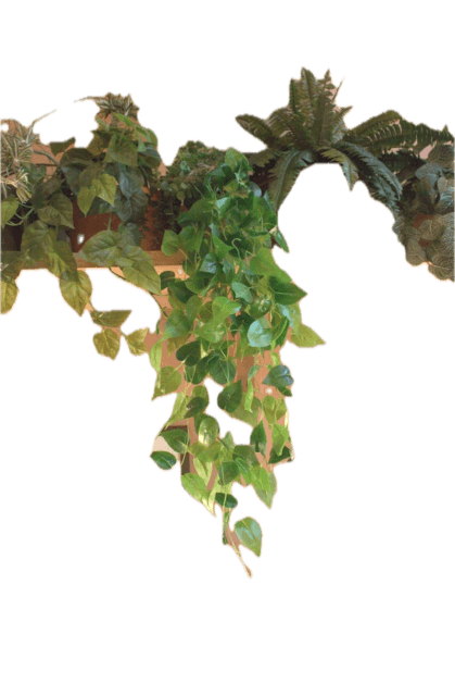 Artificial Hanging Real Look Plants