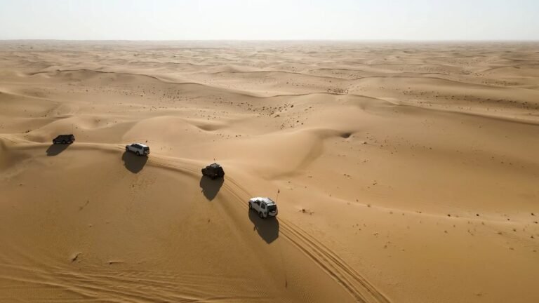 Dubai's Desert Safari Adventure