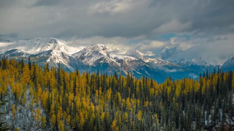 Banff