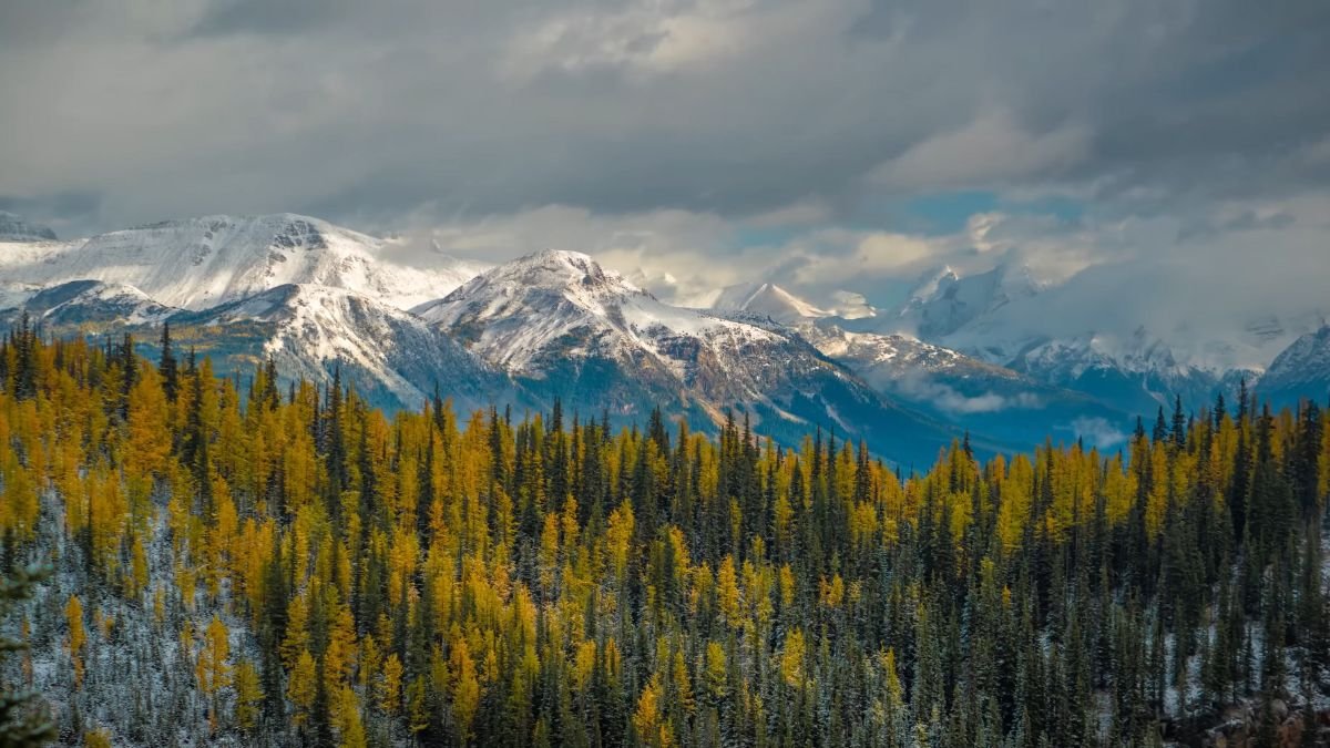 Banff