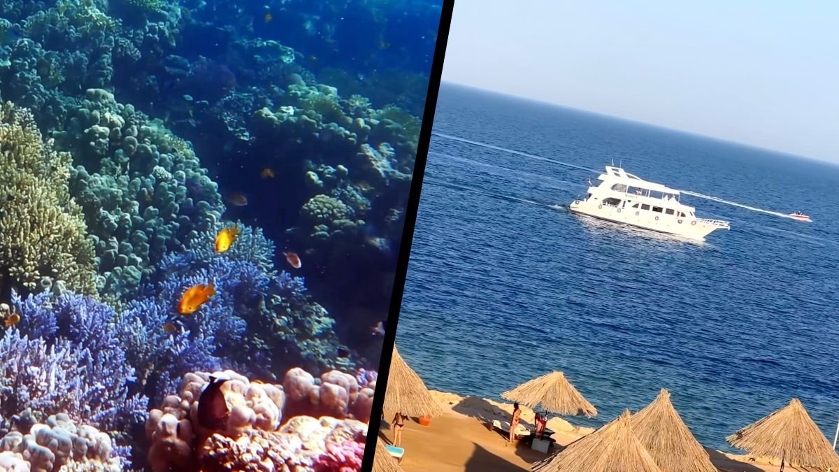 Red Sea