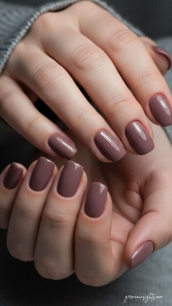 Elegant shades - Simple Holiday Nails