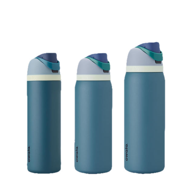 Stainless Steel Water Bottle